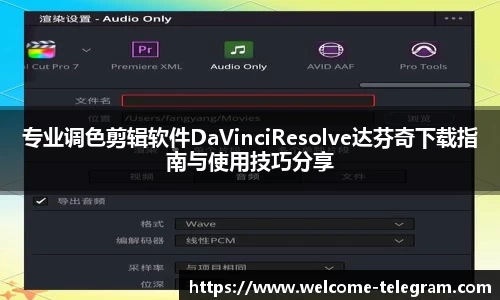 专业调色剪辑软件DaVinciResolve达芬奇下载指南与使用技巧分享